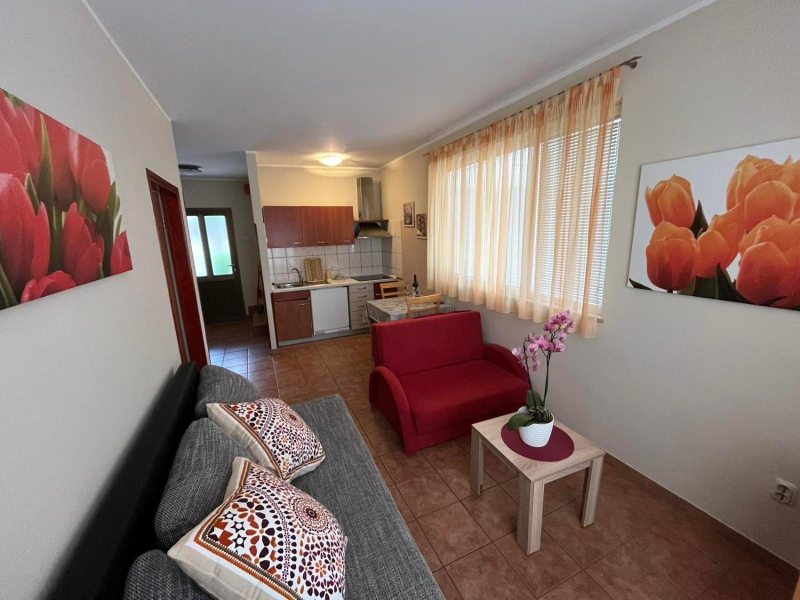 Family Apartments Suzi Rovinj Exterior photo